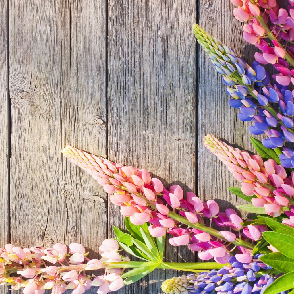 Розовые и синие люпины на деревянном фоне