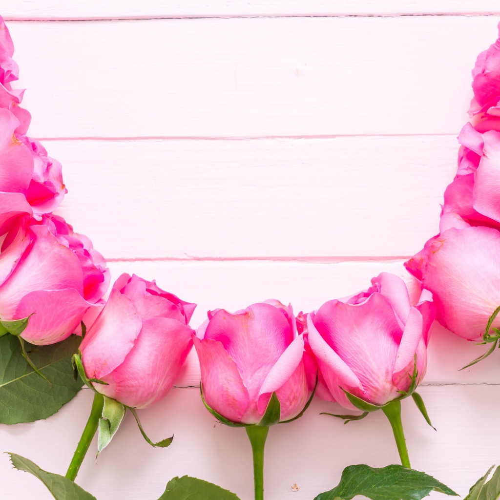 Розовые розы дугой на деревянном фоне