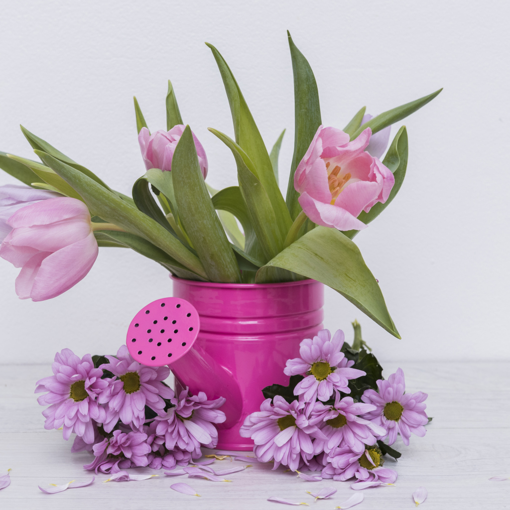 Розовые тюльпаны с цветами хризантемы на сером фоне