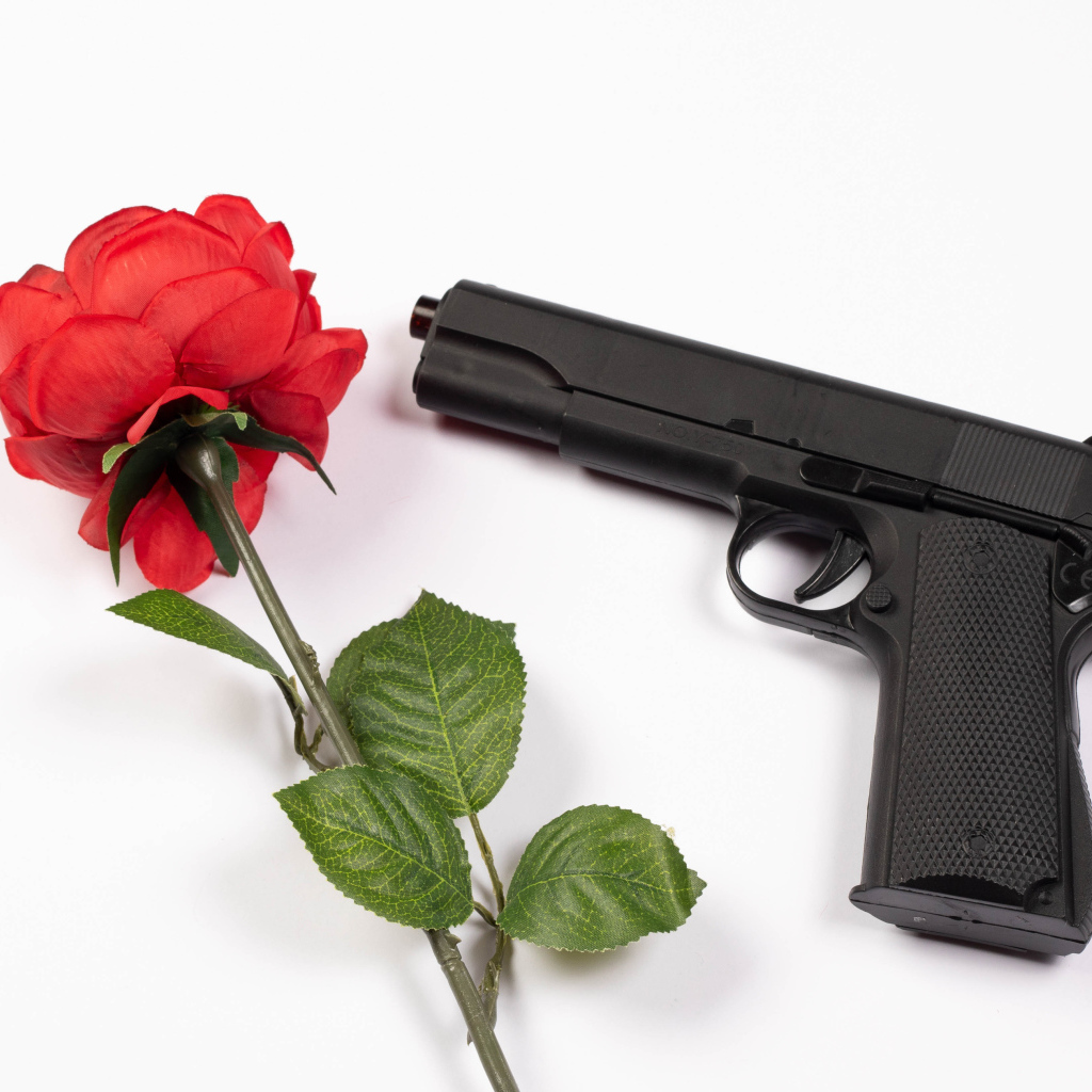 Красная роза и черный пистолет на белом фоне