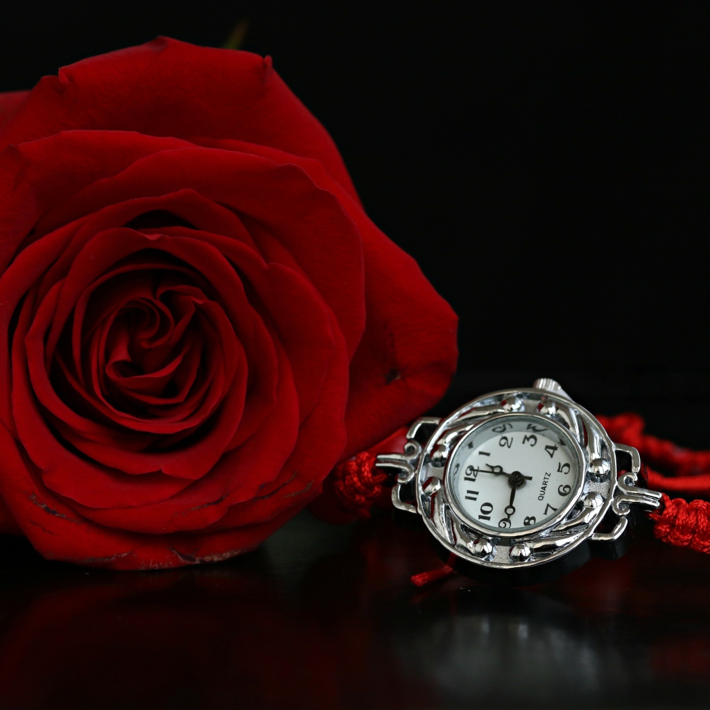 Красная роза с часами на черном фоне