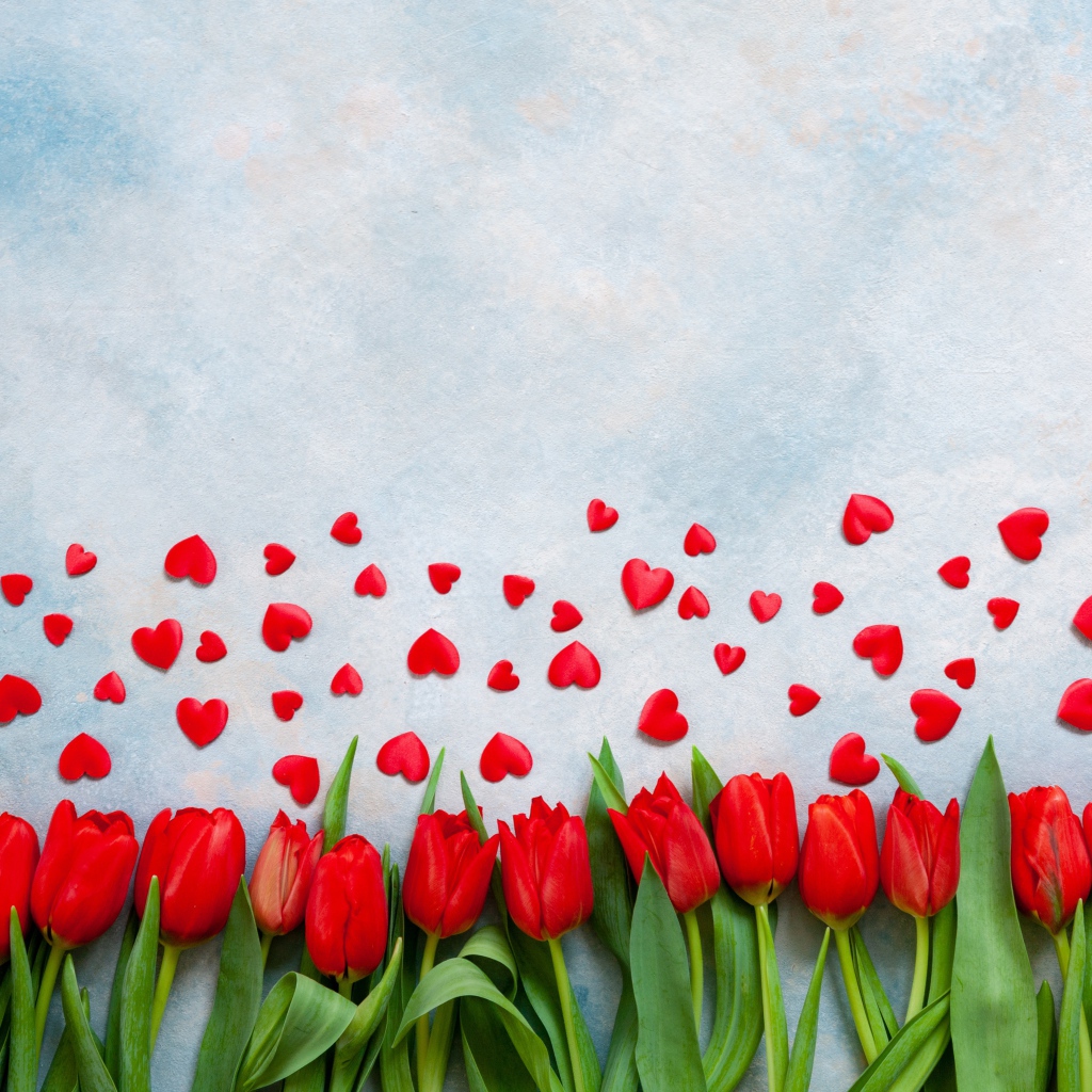 Красные тюльпаны на голубом фоне с красными сердечками