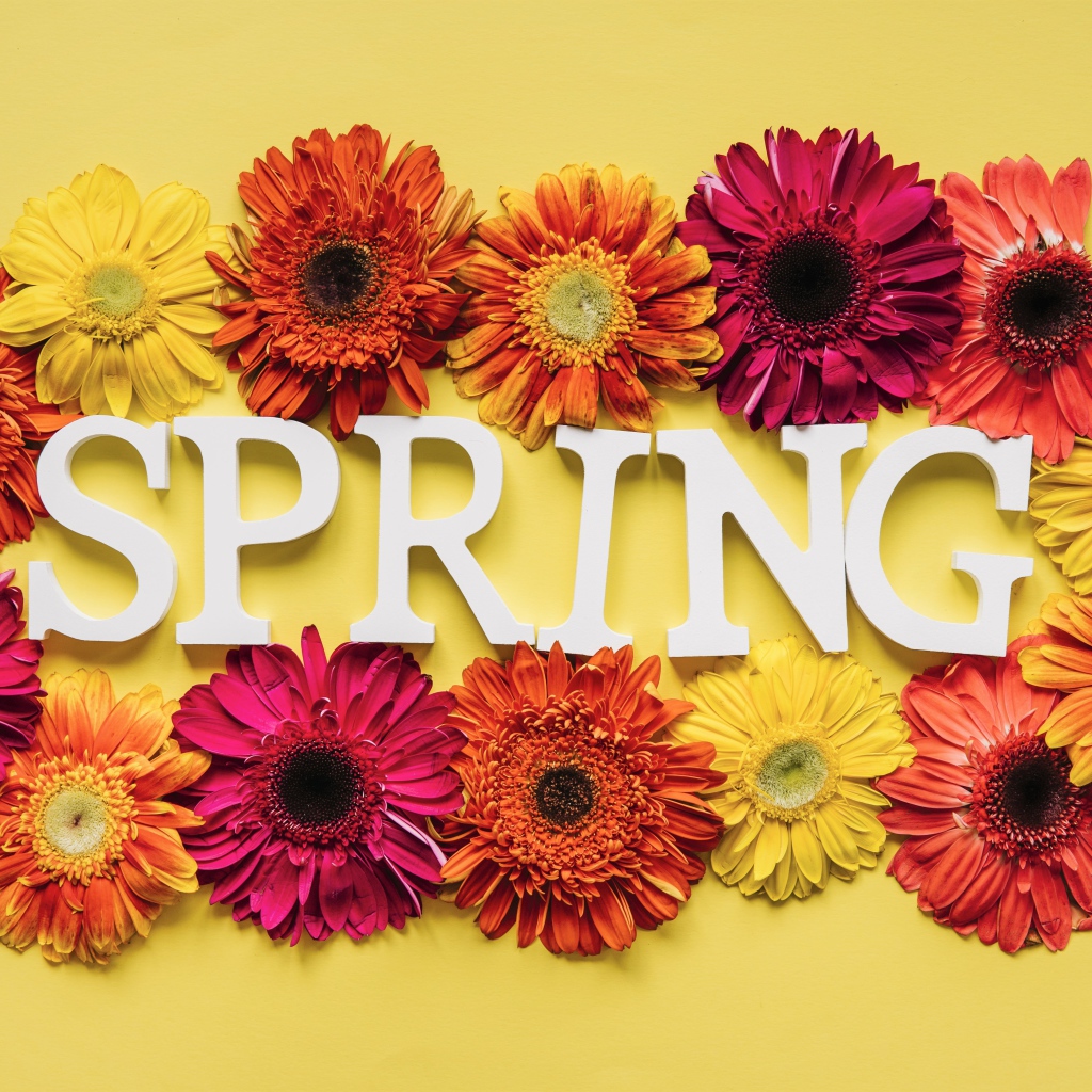 Надпись на английском весна с цветами герберы 