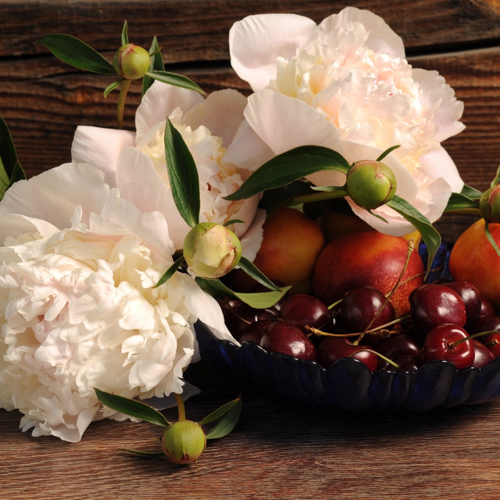 Три красивых белых пиона на столе с вазой с черешней и нектарином
