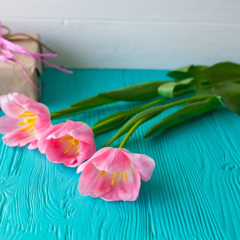 Три розовых тюльпана на голубом столе с подарком