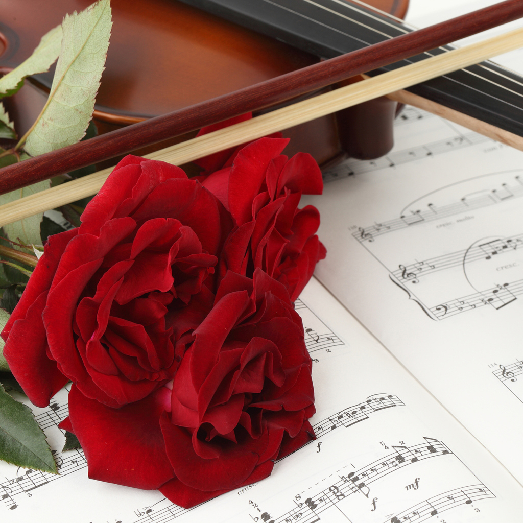 Три красных розы на нотах со скрипкой 