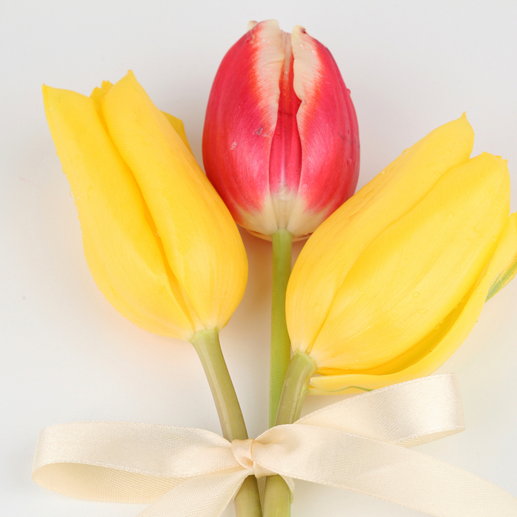 Три тюльпана с бантом на сером фоне