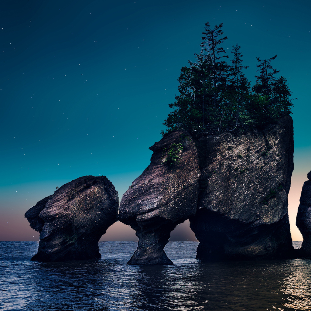 Скалы с деревьями в воде ночью 