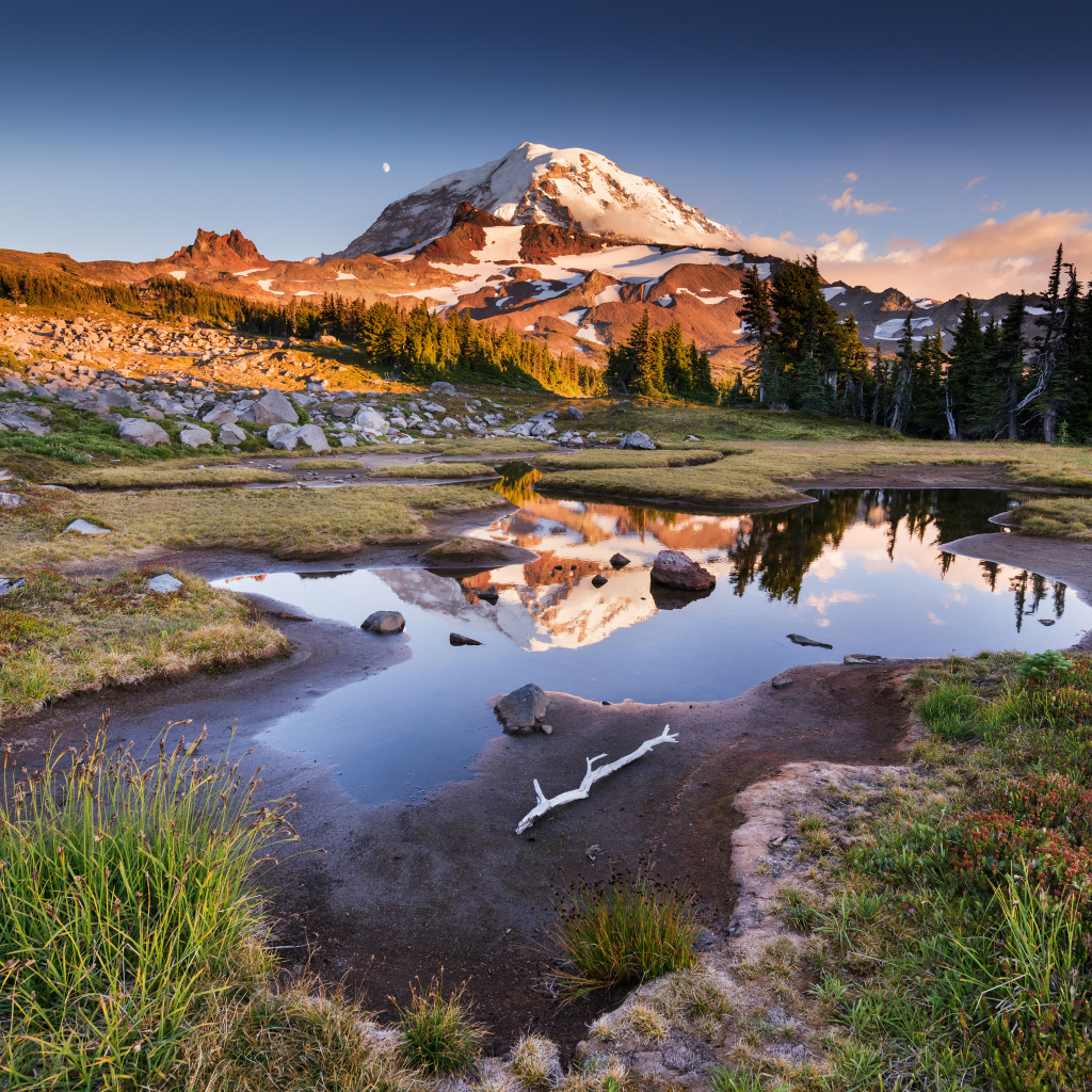 Заснеженная гора  у леса под голубым небом в лучах солнца