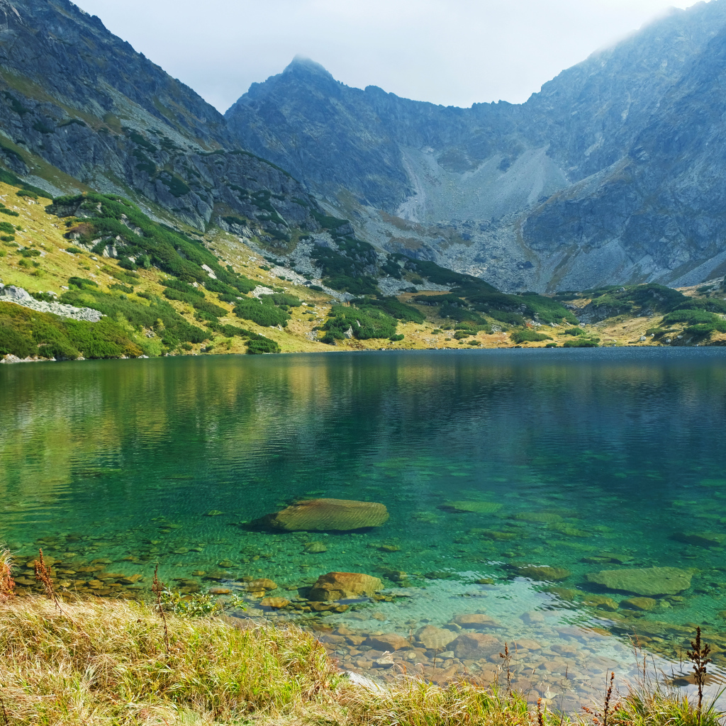 Озеро с чистой водой у подножия высоких гор
