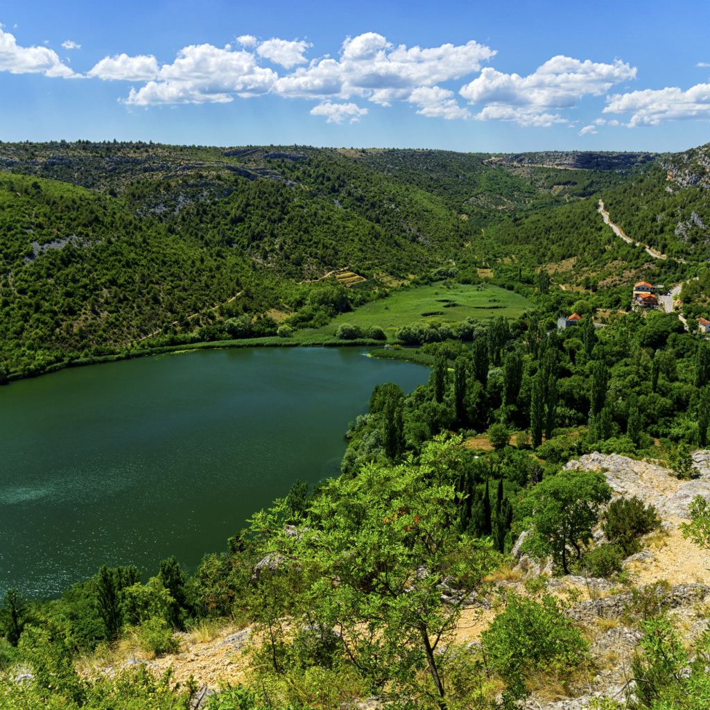 Озеро в живописном зеленом парке под голубым небом 