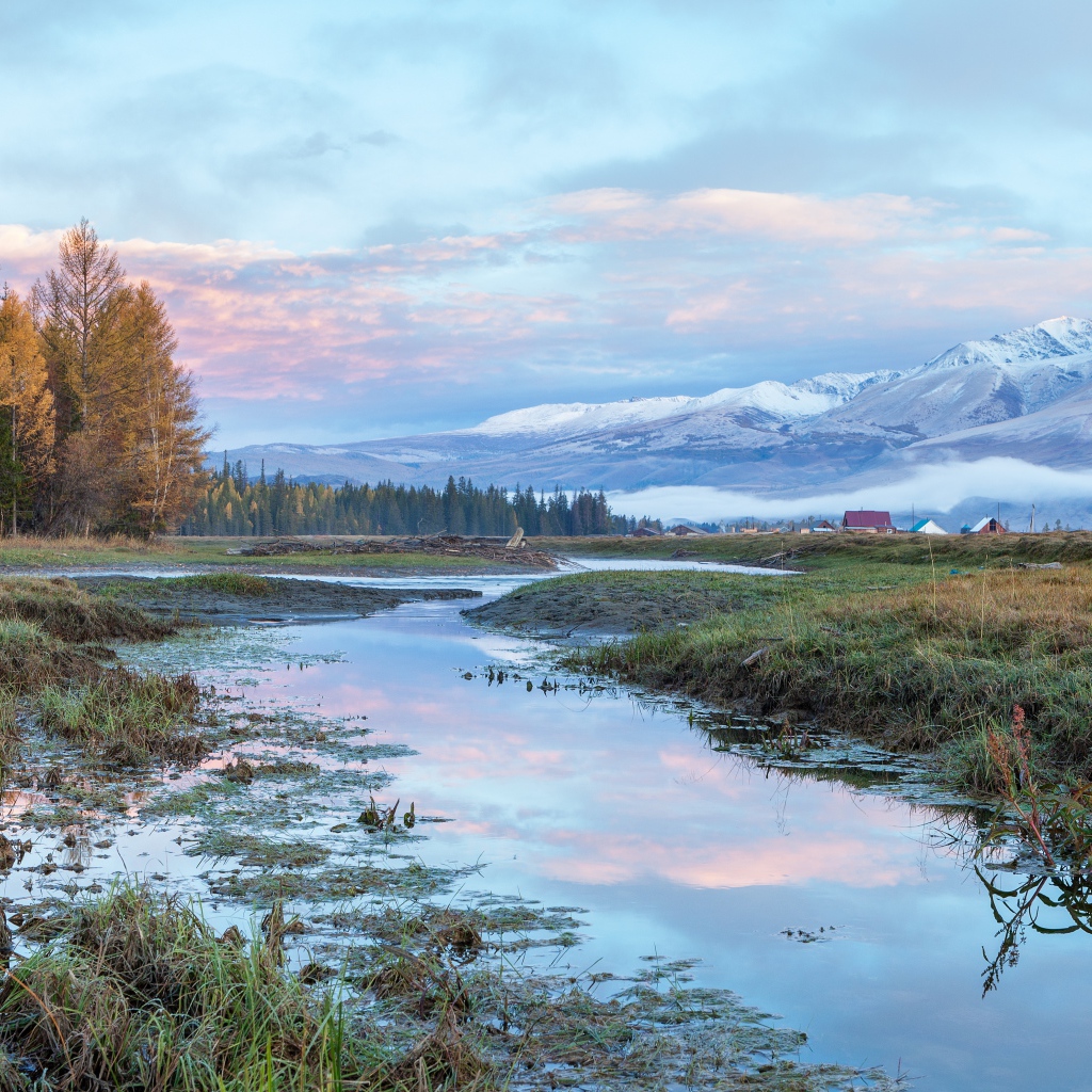 Река у леса на фоне гор под красивым небом