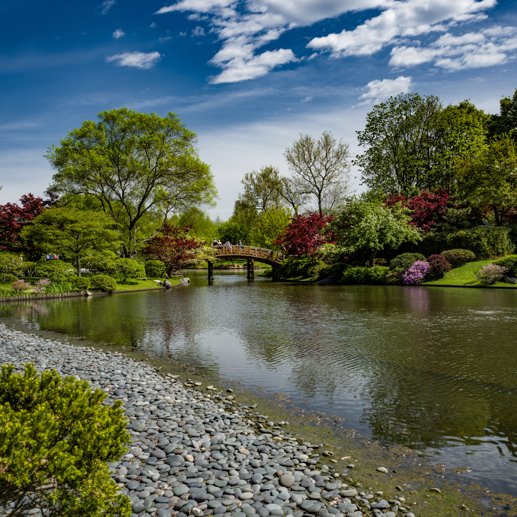 Камни на берегу реки в парке с зелеными деревьями