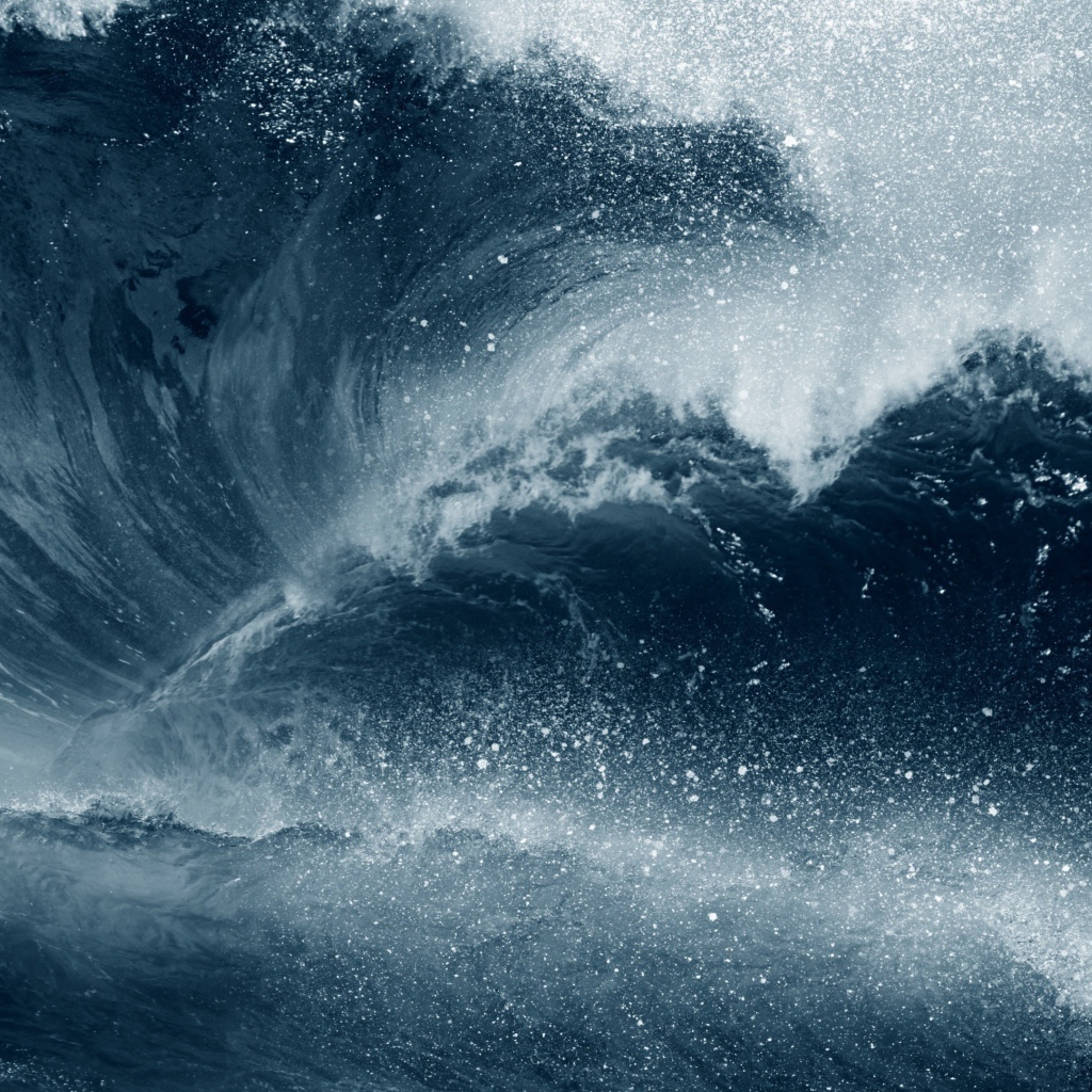 High sea wave with white foam