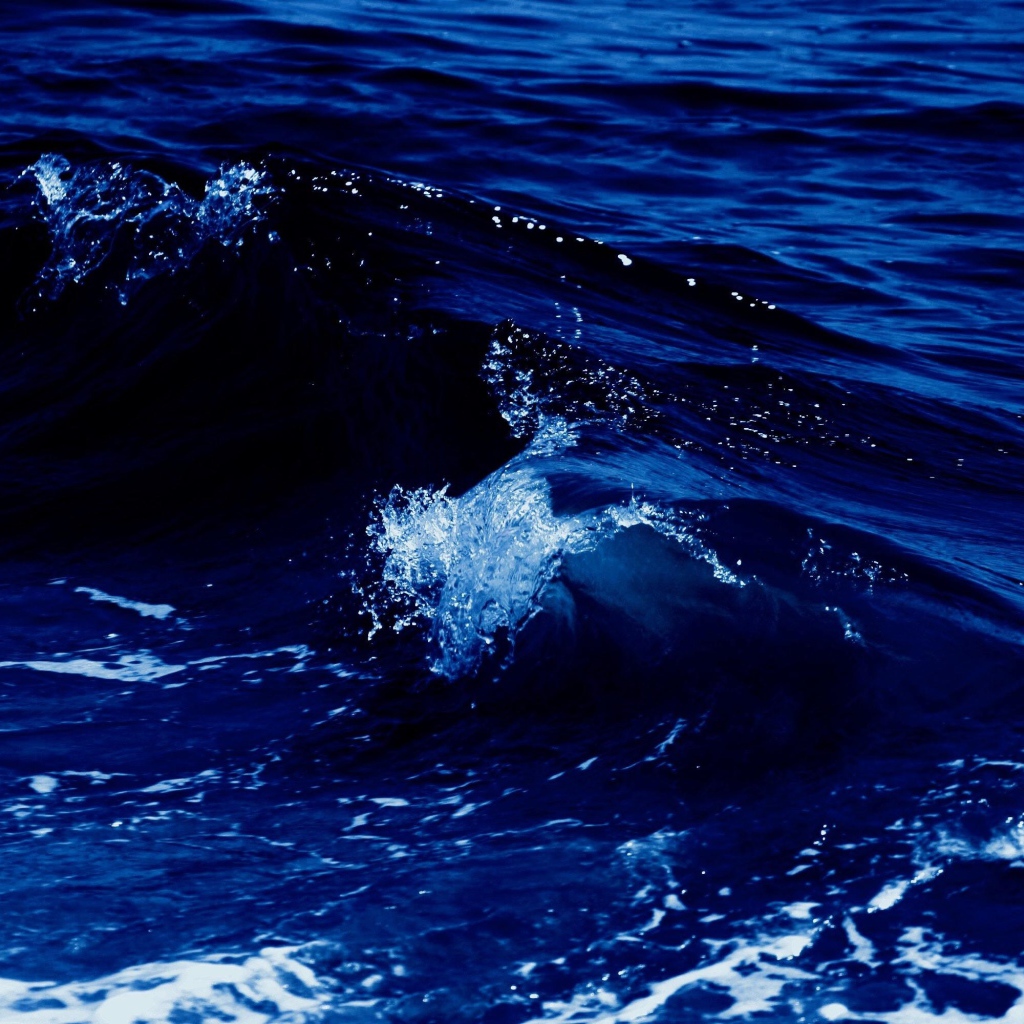 Белая волна в синем теплом море