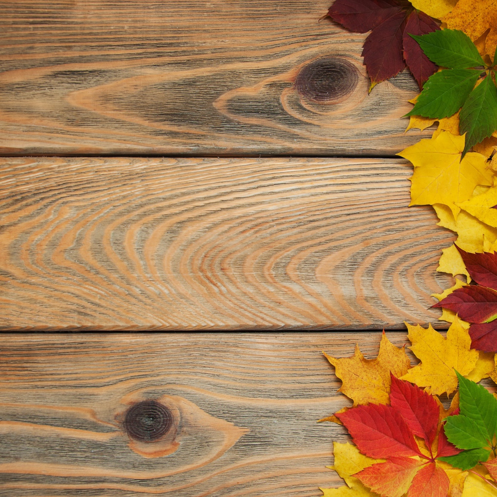 Желтые осенние листья на деревянном фоне