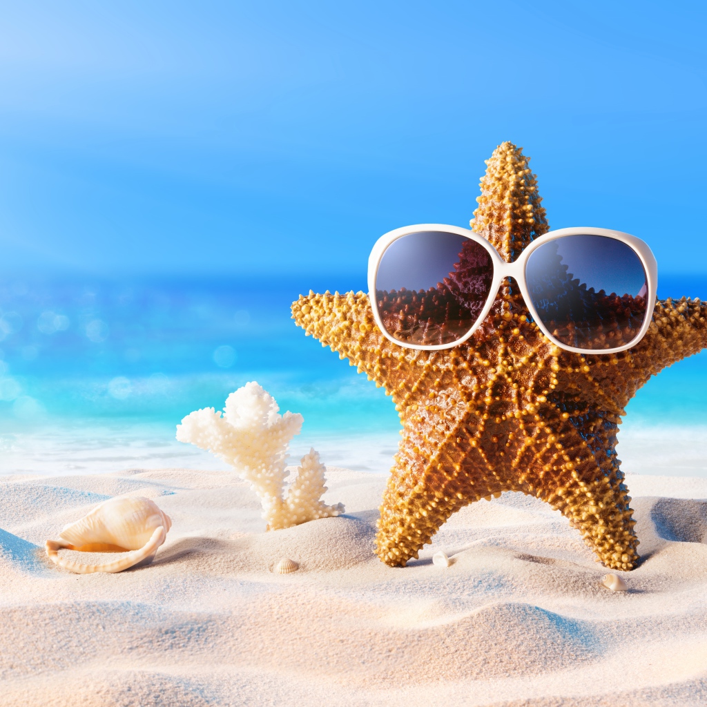 Starfish with glasses on the sand by the sea in summer