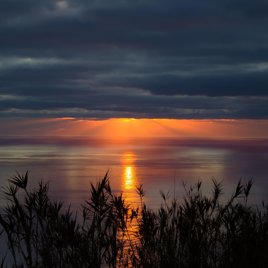 Красивый закат солнца в пасмурном небе 