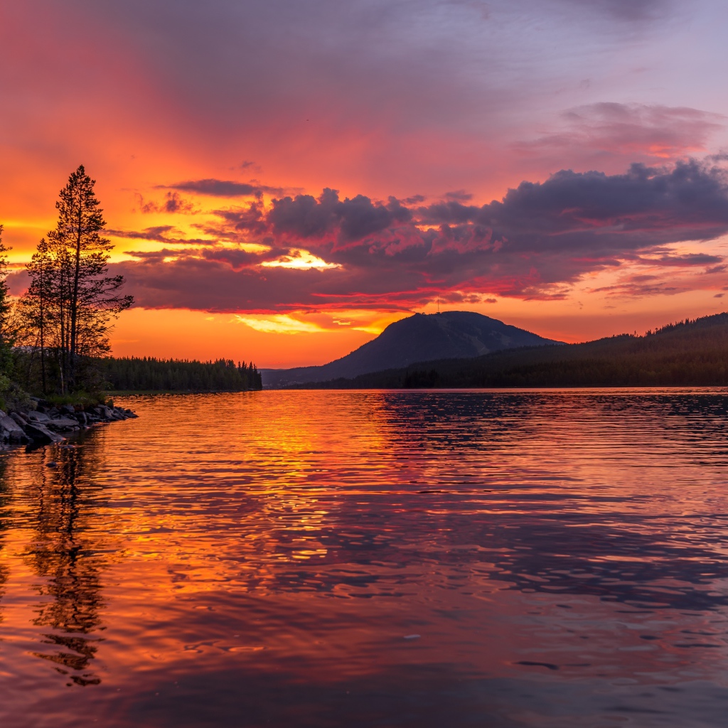 Закат в фиолетовом небе над рекой у леса