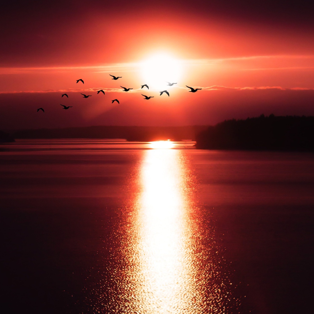 Солнце на закате оставляет дорожку на воде