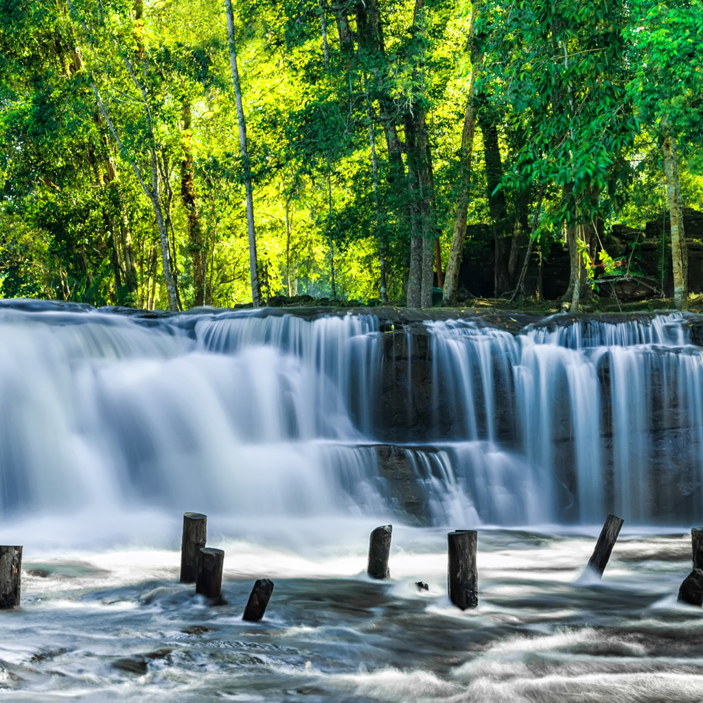 Водопад стекает с камней у зеленых деревьев