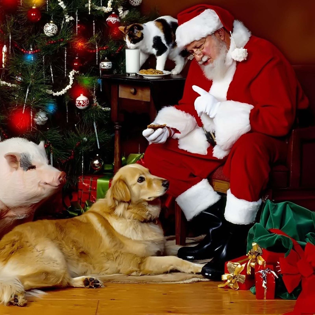 Санта Клаус с собакой, свиньей и котом у новогодней елки