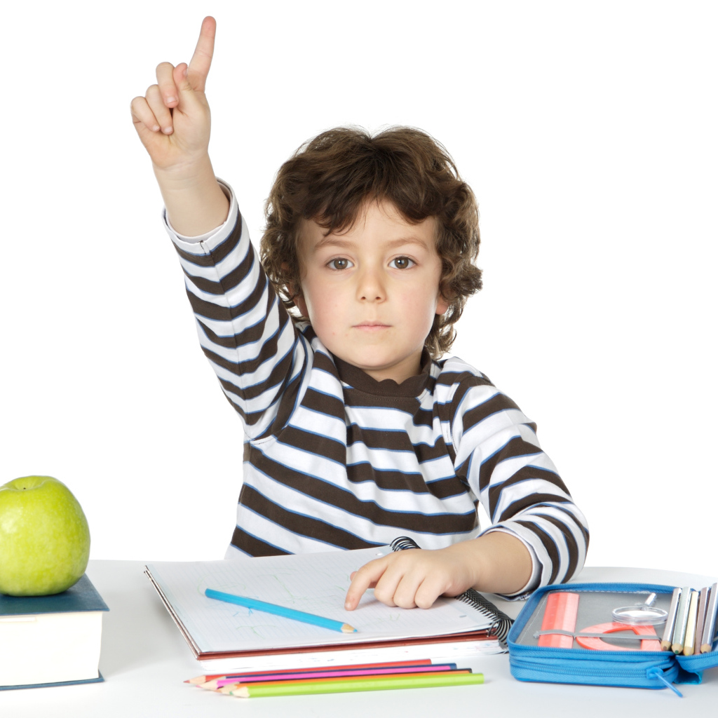 Маленький мальчик школьник отвечает на уроке 