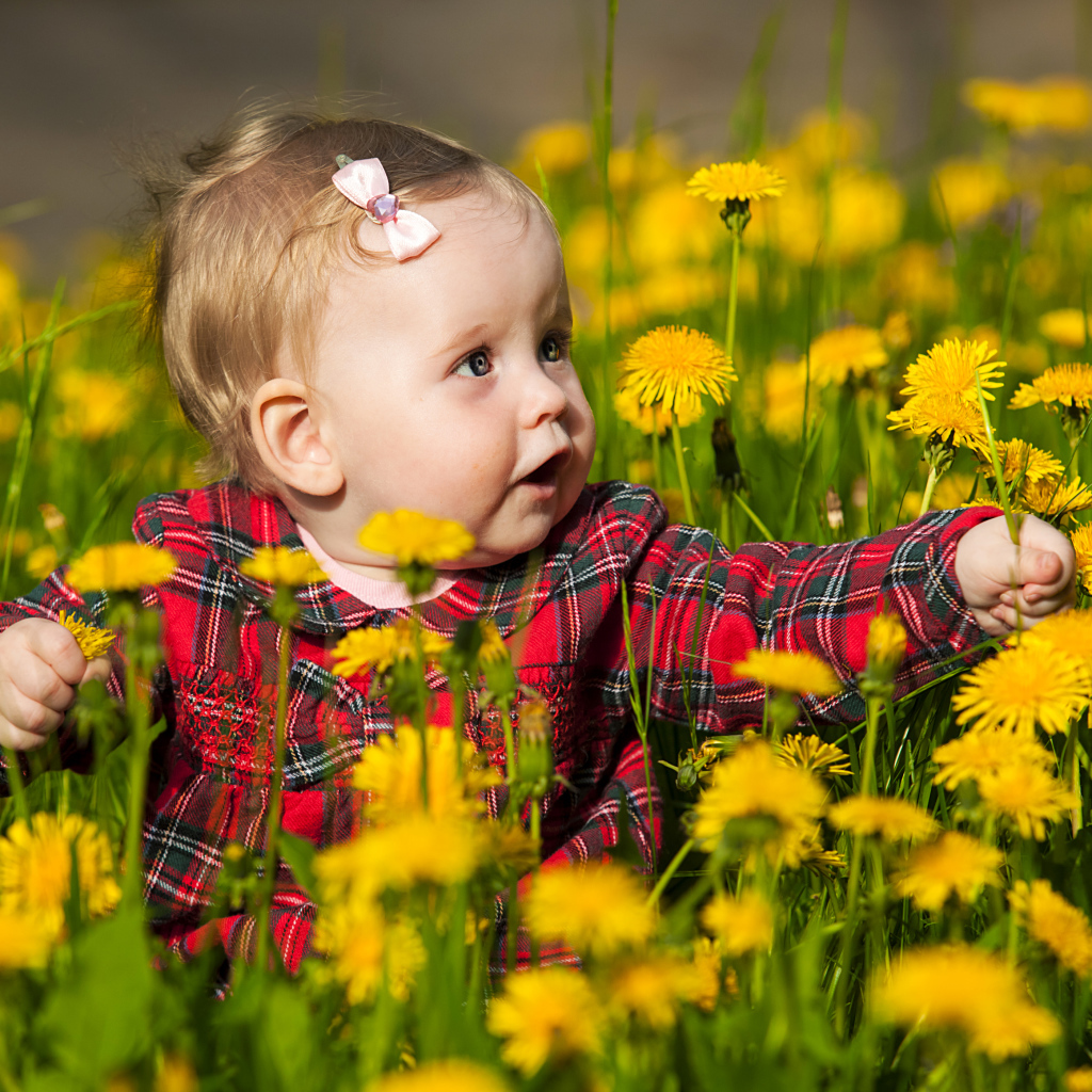 Маленькая милая девочка сидит в желтых одуванчиках