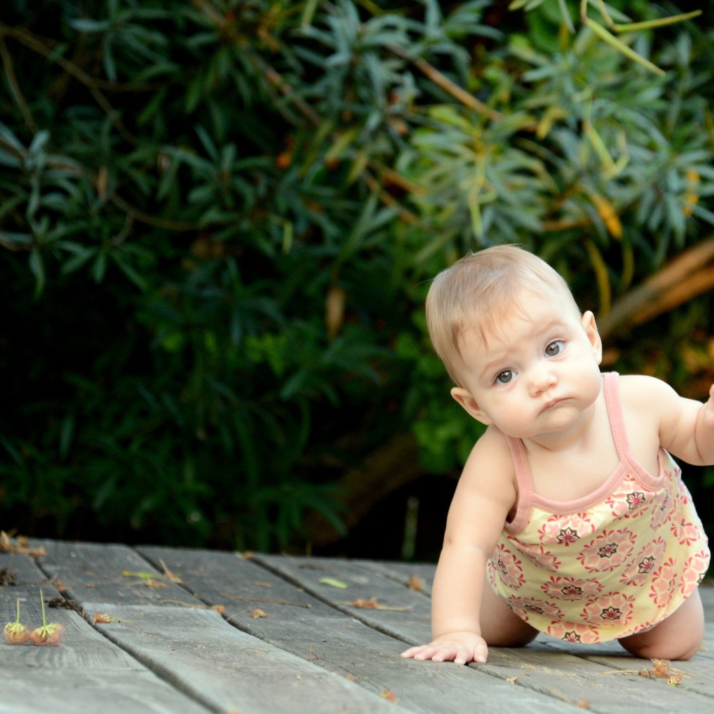 Маленькая девочка ползет по деревянному мосту