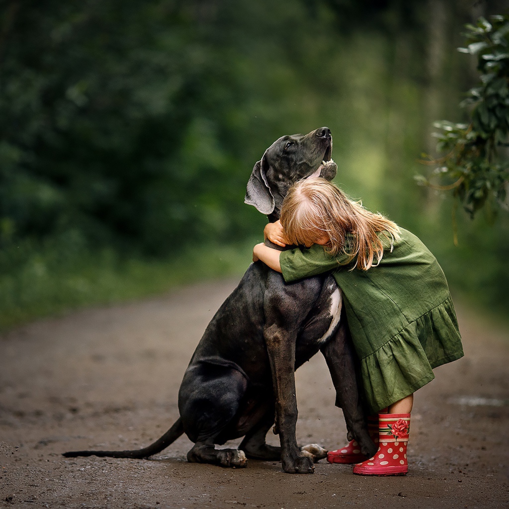 Маленькая девочка обнимает большого черного дога