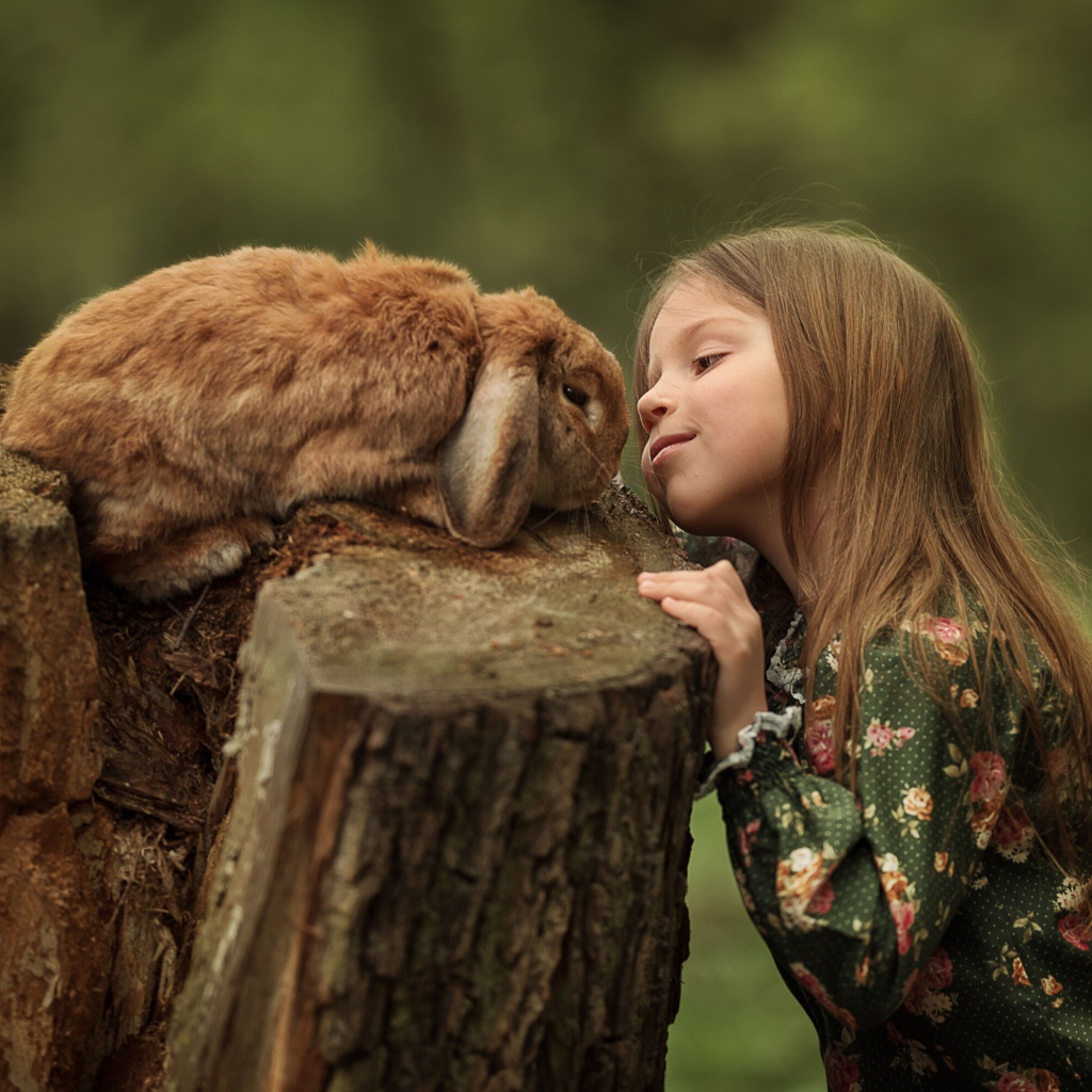 Маленькая девочка смотрит на декоративного кролика