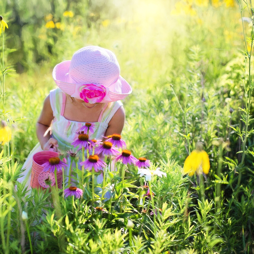 Маленькая девочка на поляне с розовыми цветами эхинацеи 