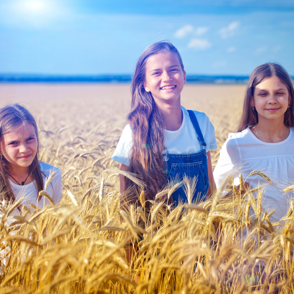 Три девочки на поле с желтой пшеницей