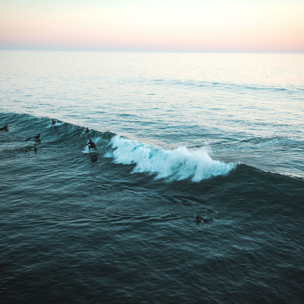 Серфингисты ловят волну в море 