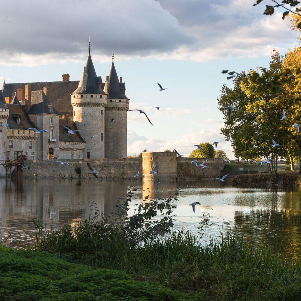 Замок Сюлли-сюр-Луар у воды, Париж. Франция