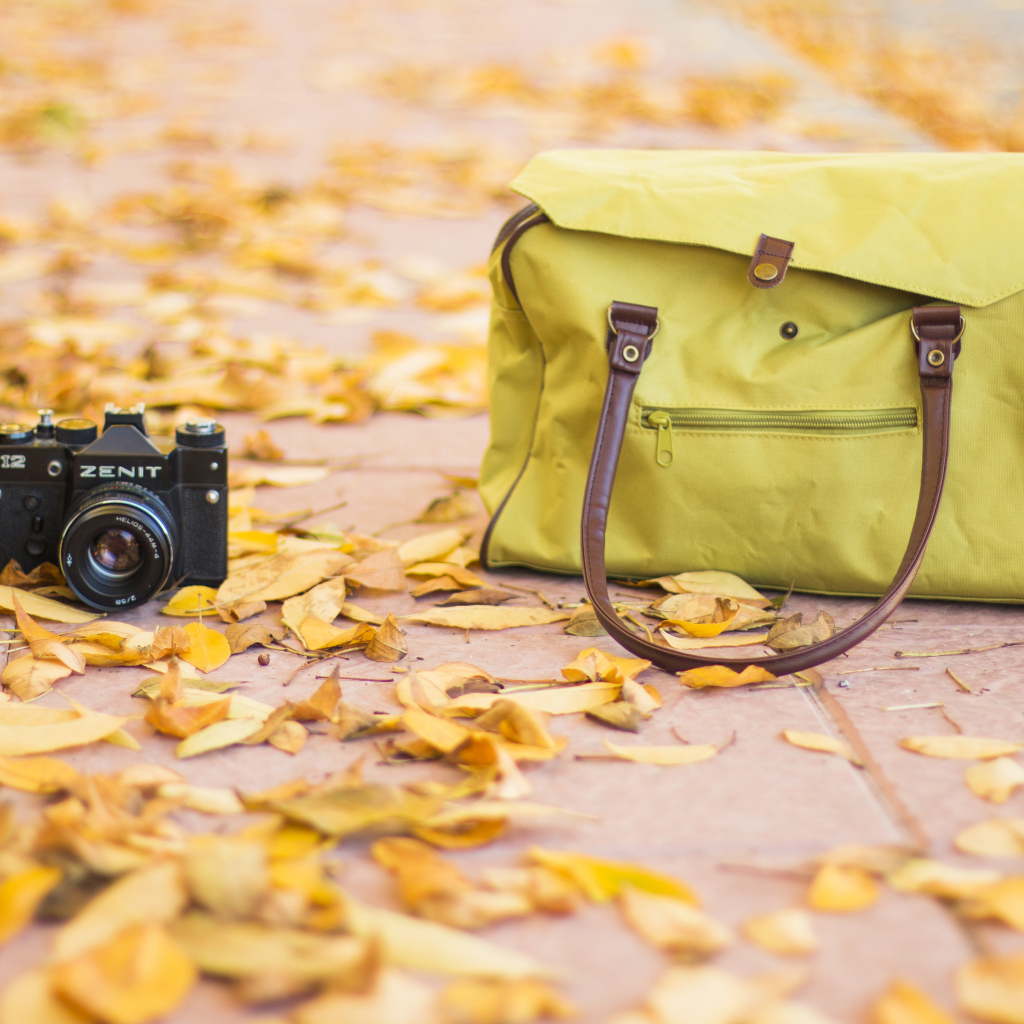 Фотоаппарат и сумка стоят на сухих листьях осенью