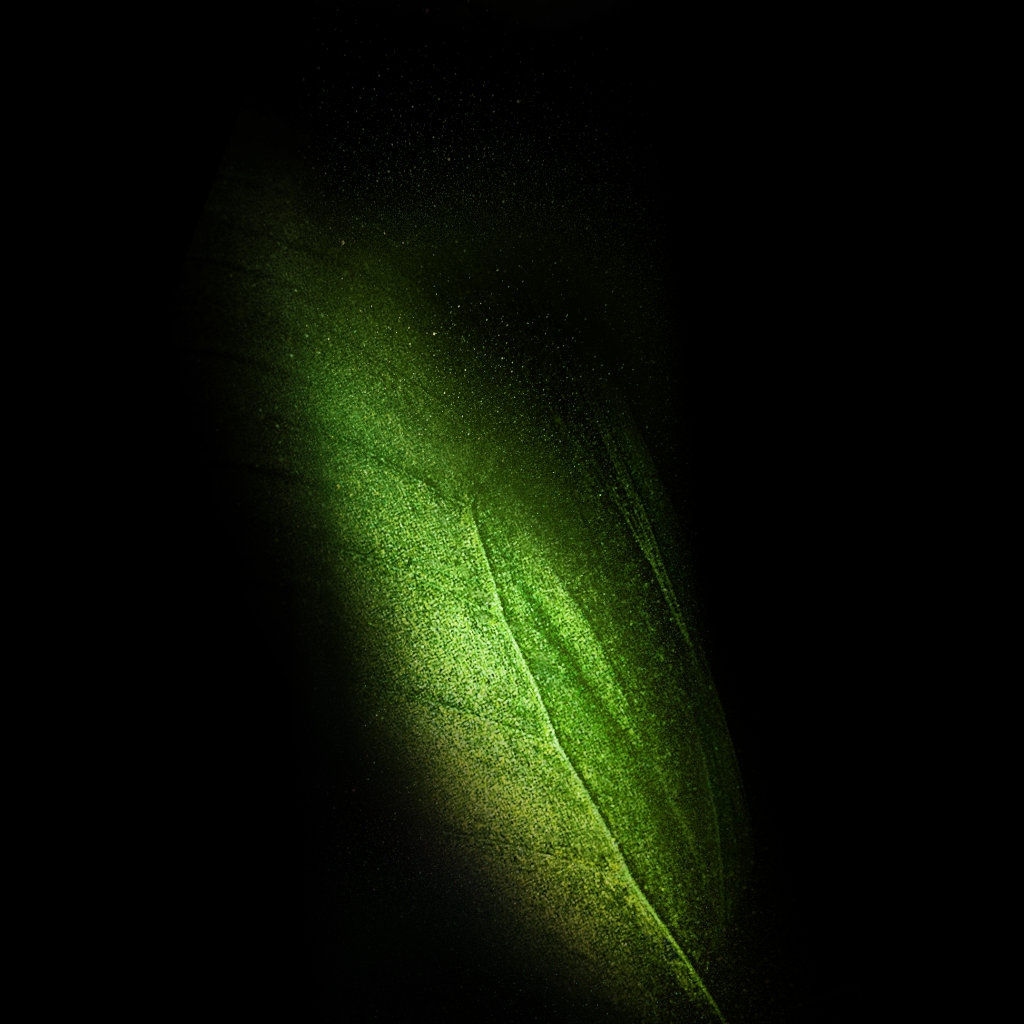 Зеленое крыло бабочки на черном фоне логотип samsung galaxy fold