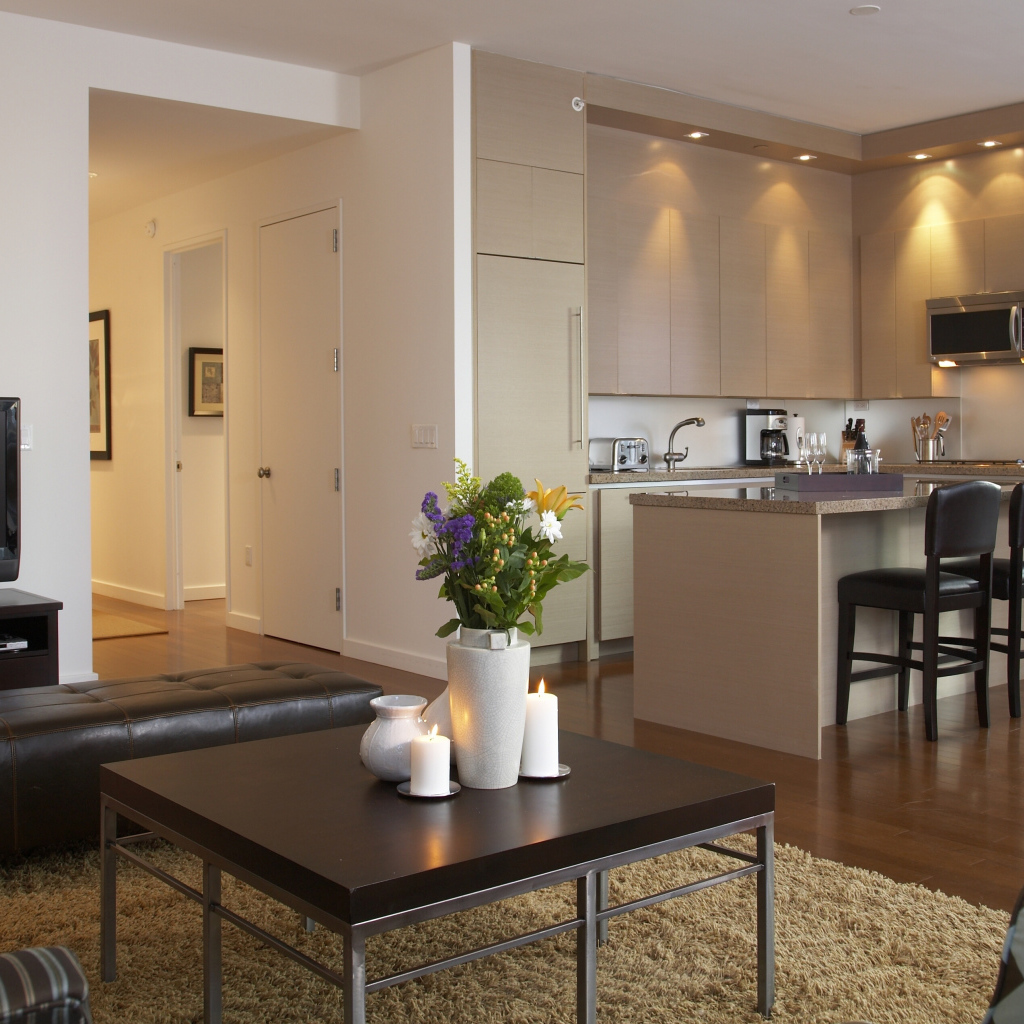 Гостиная комната с кухней 