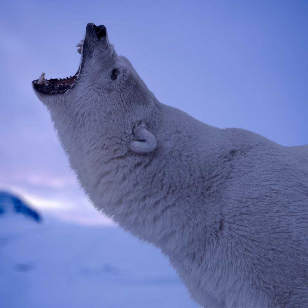 Белый полярный медведь с открытой пастью 
