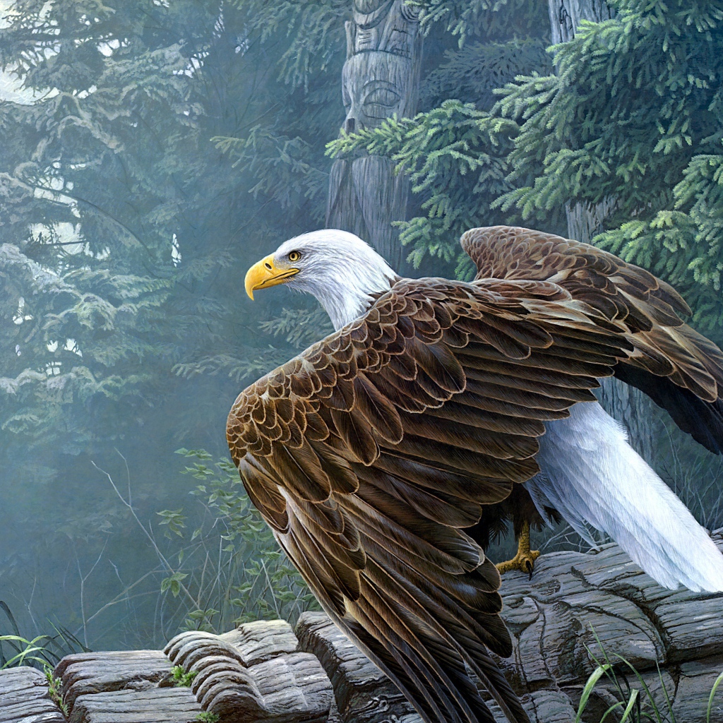 Большой белоголовый орлан сидит на столбе 