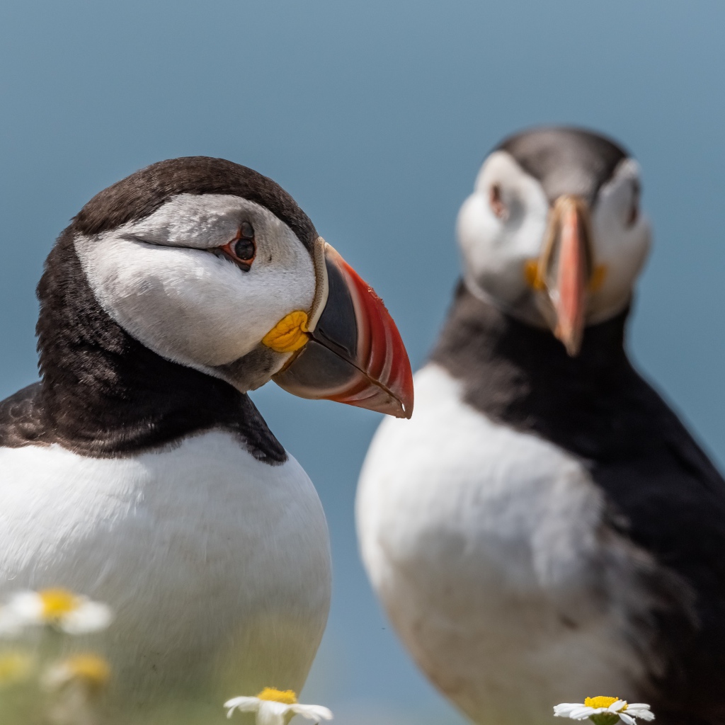 Два тупика на фоне голубого неба 