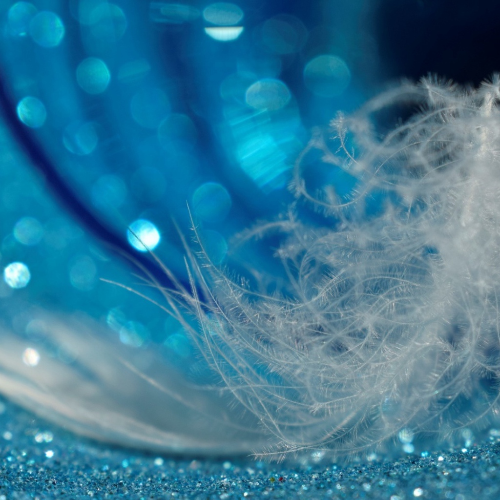 Белое легкое перо лежит на блестящей голубой поверхности 