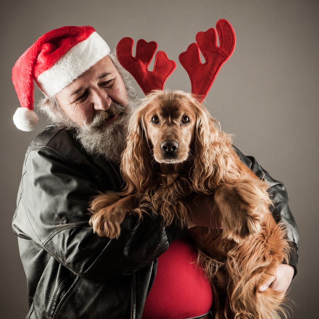 Санта Клаус с собакой в руках на сером фоне