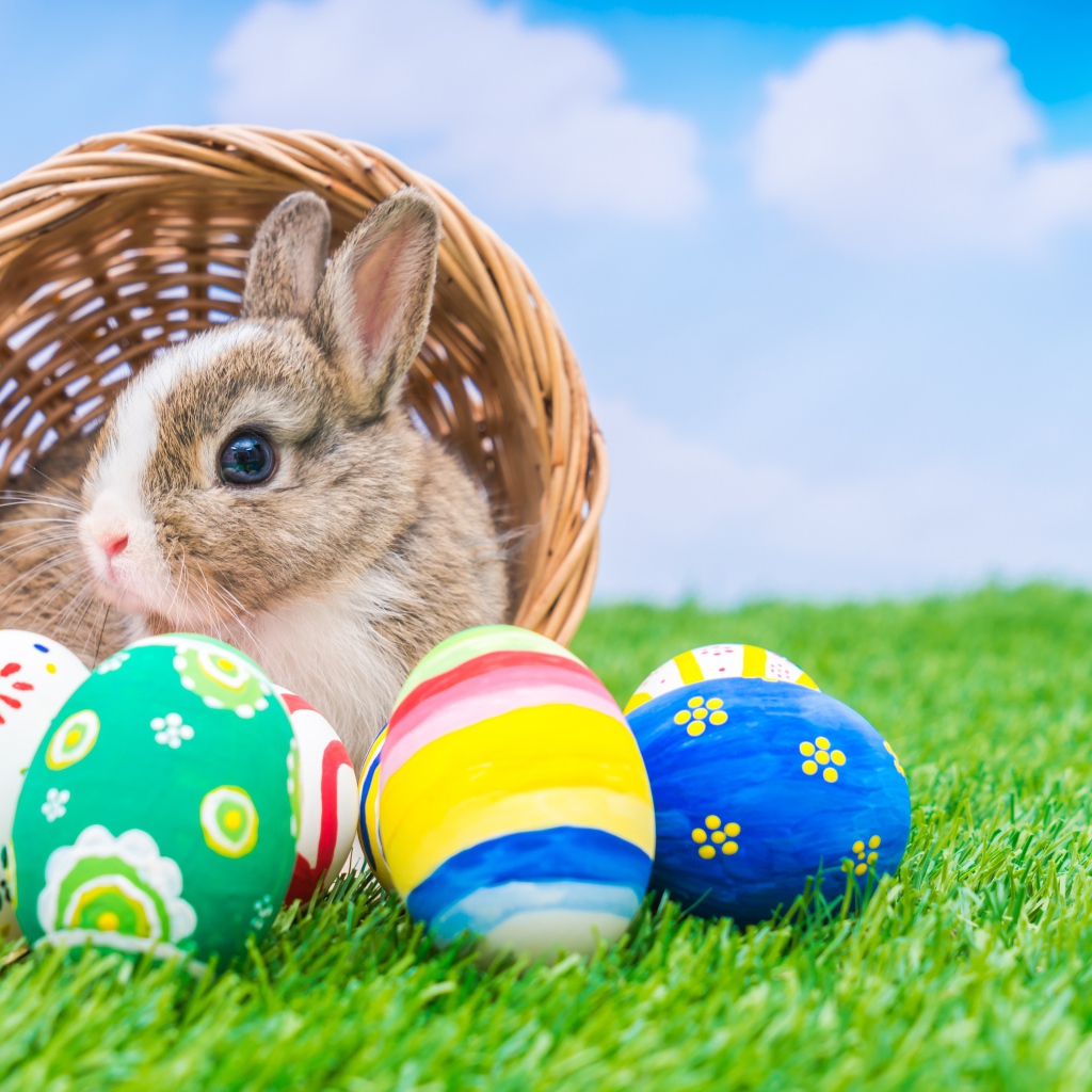 Милый декоративный кролик в корзине с пасхальными яйцами