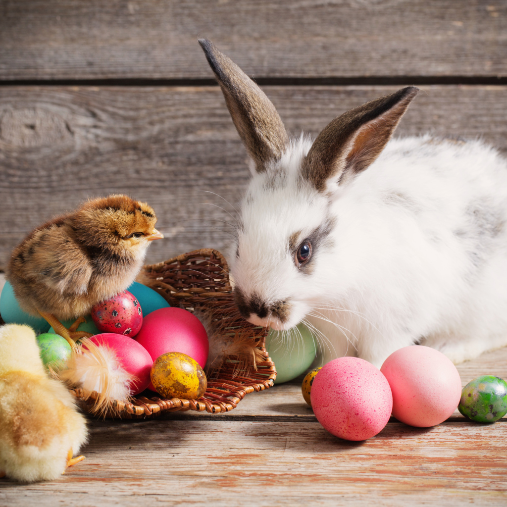 Декоративный кролик с цыплятами и яйцами