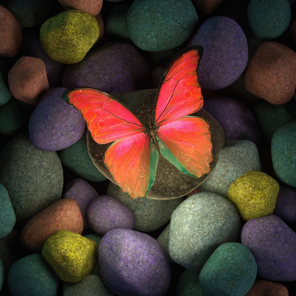 Paper butterfly on colorful stones