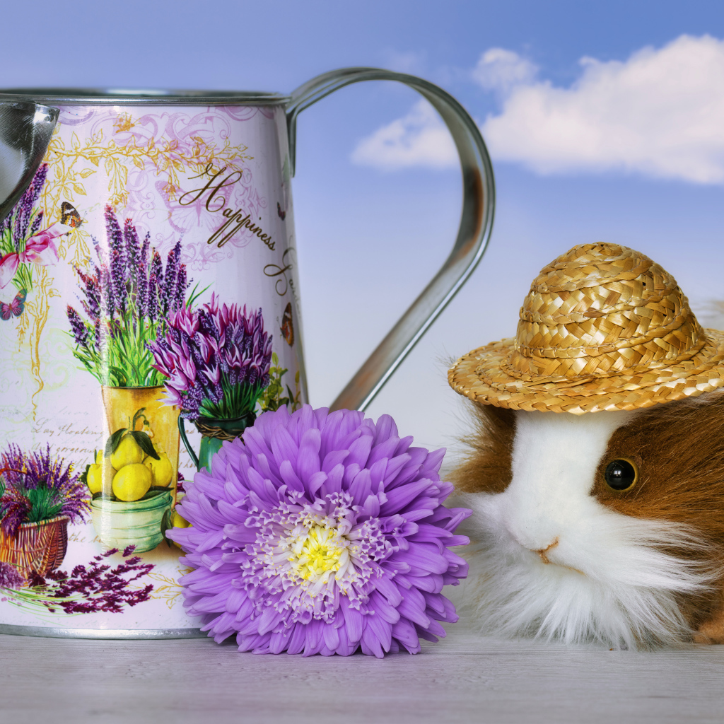 Guinea pig on a table with a watering can and a flower