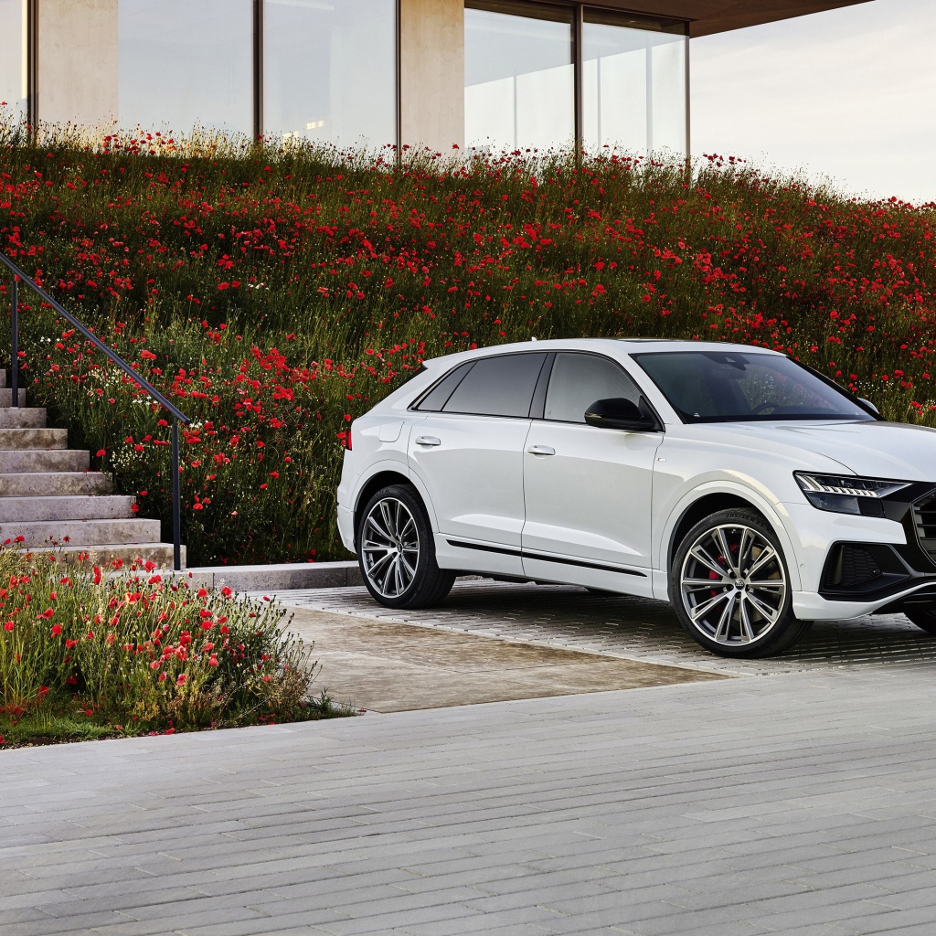 Белый автомобиль Audi Q8 60 TFSI E Quattro S Line 2020 года