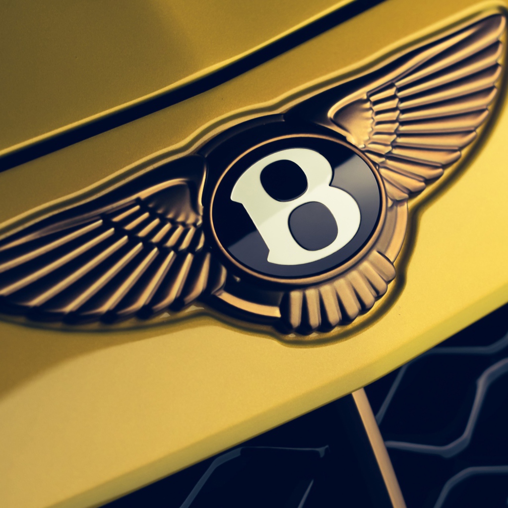 Логотип автомобиля Bentley Mulliner Bacalar 2020  года крупным планом