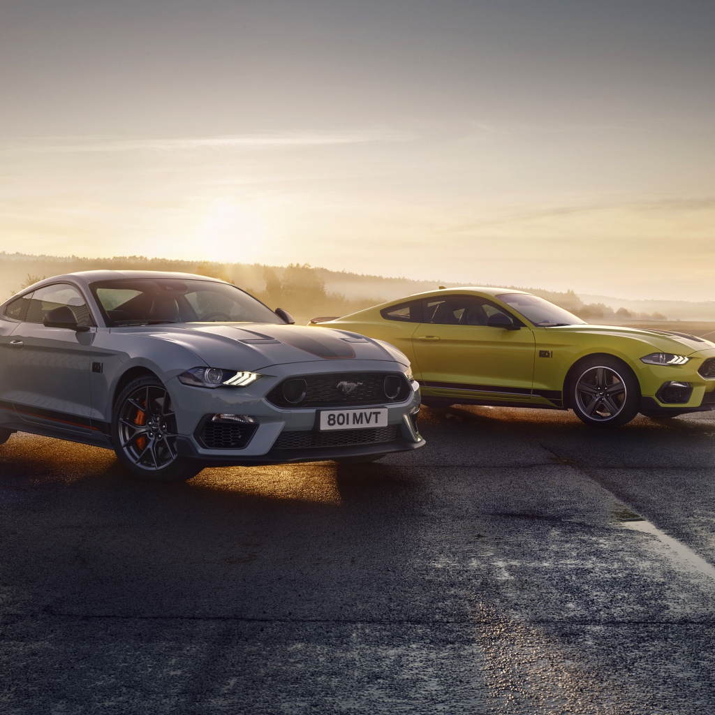 Два автомобиля Ford Mustang Mach 1 2021 года туманным утром